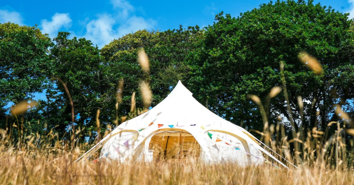 3m Tents – Lotus Belle Tents