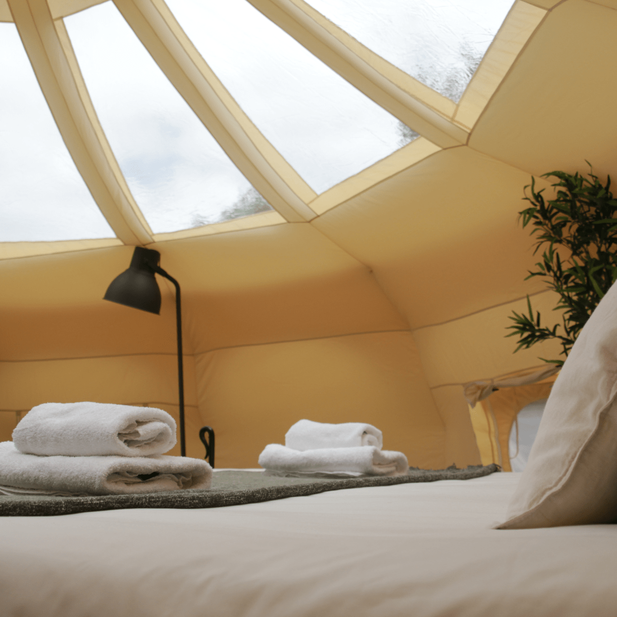 Tent Linings